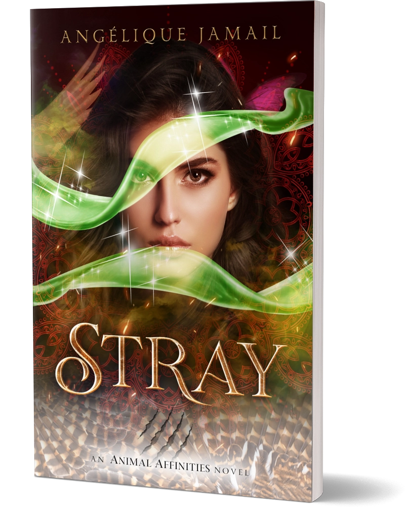 Book cover: Stray, by Angelique Jamail